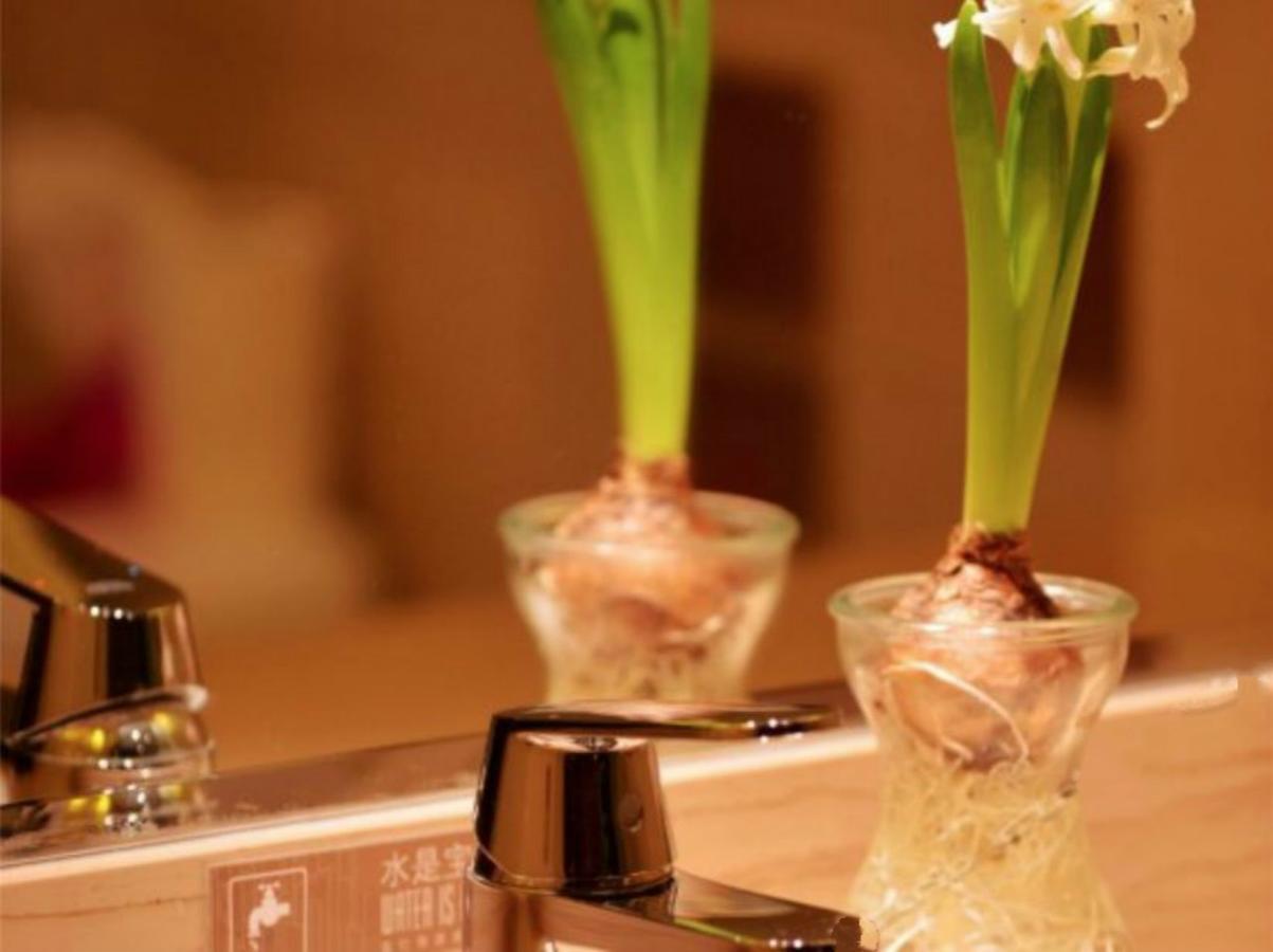 Greentree Inn Beijing Dongcheng District Wangfujin South Luogu Lane Houhai Express Hotel Buitenkant foto
